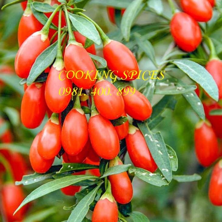 Hạt Kỷ Tử đỏ  chua ngọt dùng phà trà, nấu chè