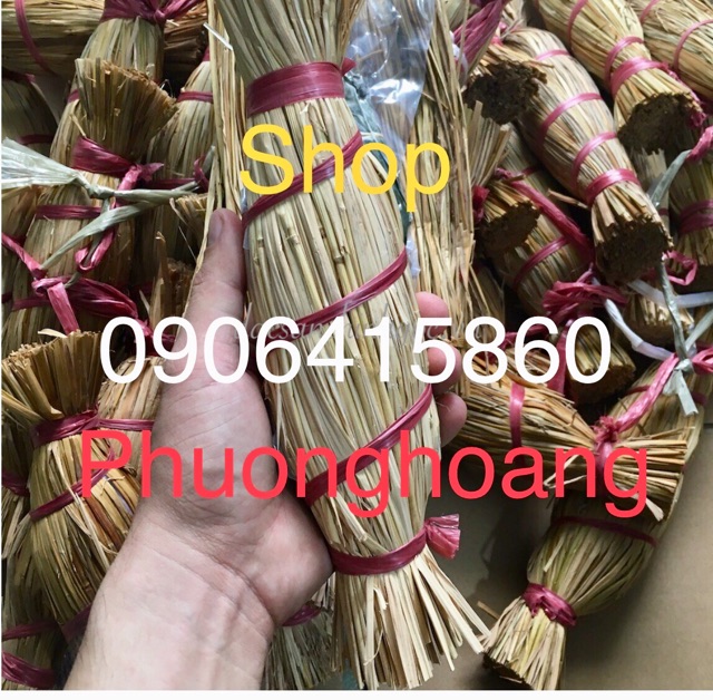 COMBO 5 CÂY (CHÉ)  GIÁ 140k ĐẶC SẢN BÌNH ĐỊNH - MIỀN TRUNG