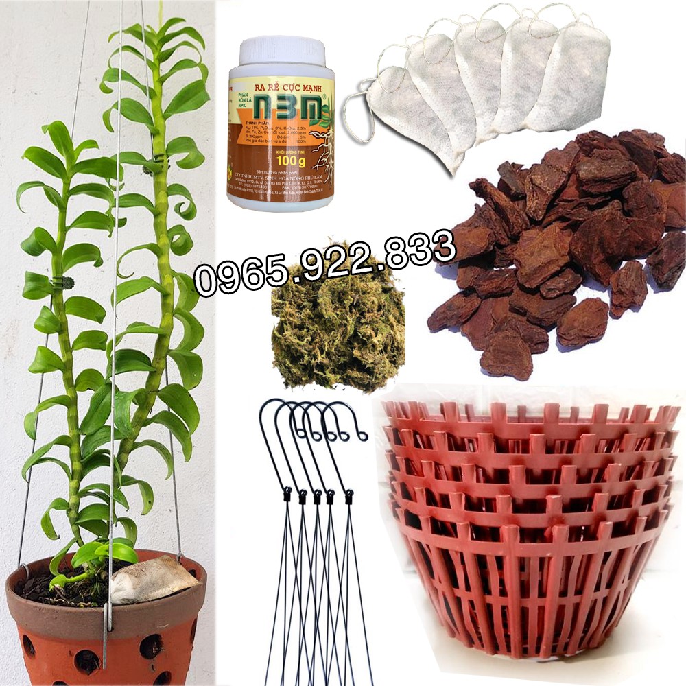 Combo 5 Chậu Trồng Lan cho người mới bắt đầu Chậu Phân Vỏ Thông Rêu Kích Rễ