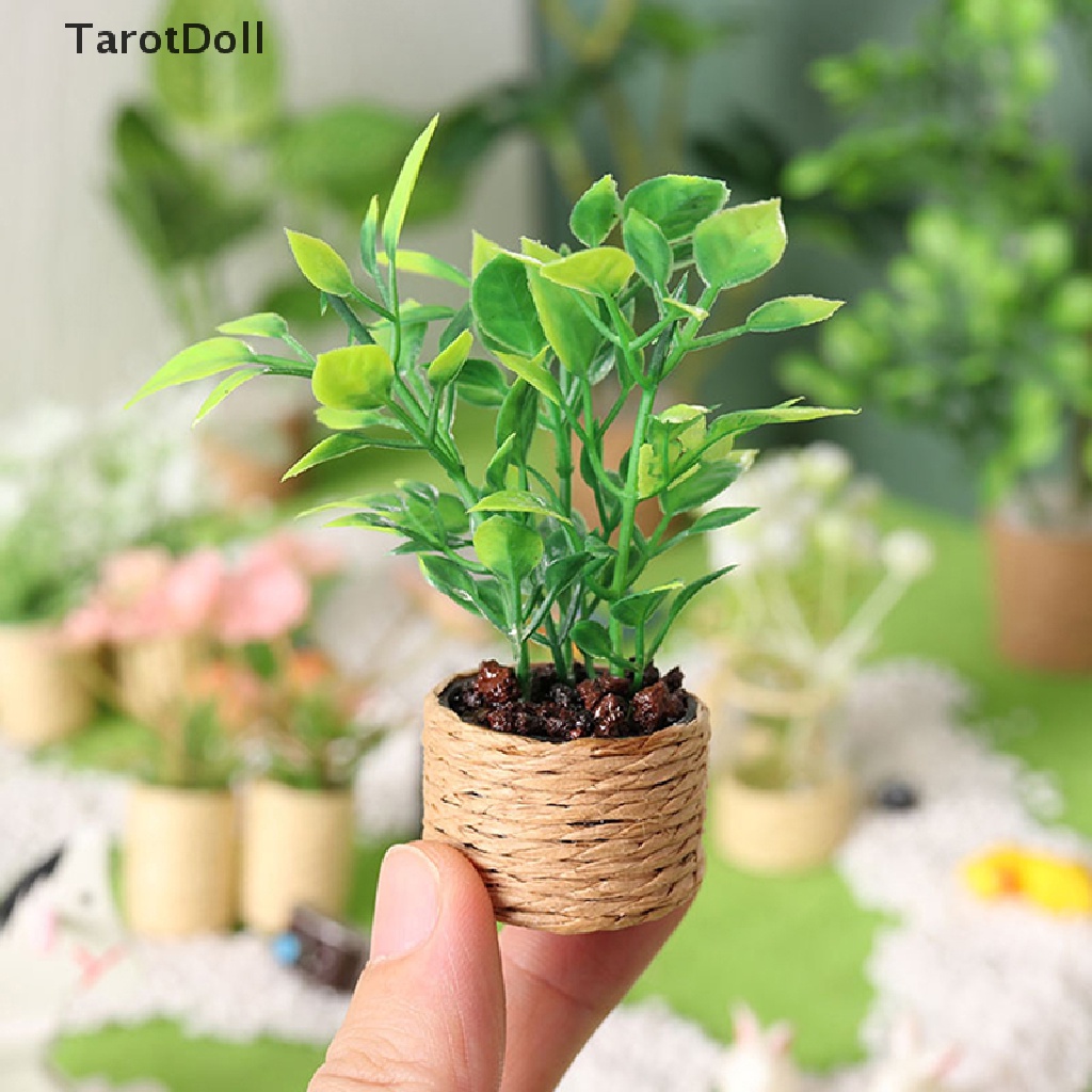 Mô Hình Chậu Cây Bài Tarot Tỉ Lệ 1: 12 Trang Trí Nhà Búp Bê
