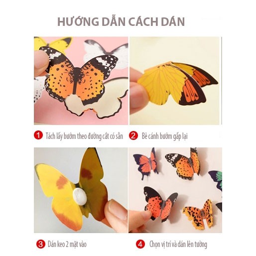 Decal dán tường - Giấy dán tường - 19 Bướm 3D - H1-002