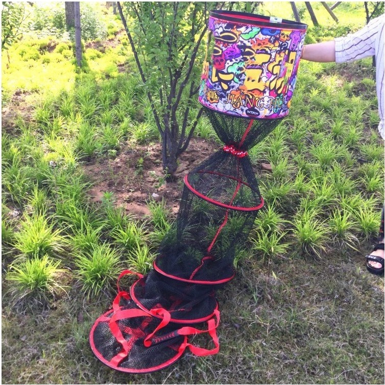 Rọng cá màu sắc