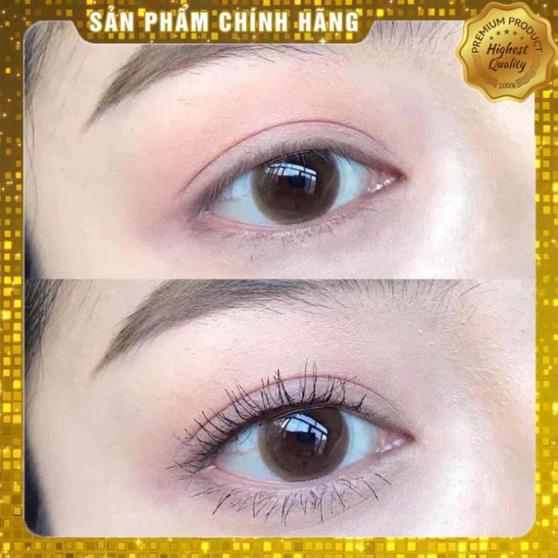 ( HÀNG CHUẨN AUTH ) - Mascara Thestyle - freeship | BigBuy360 - bigbuy360.vn