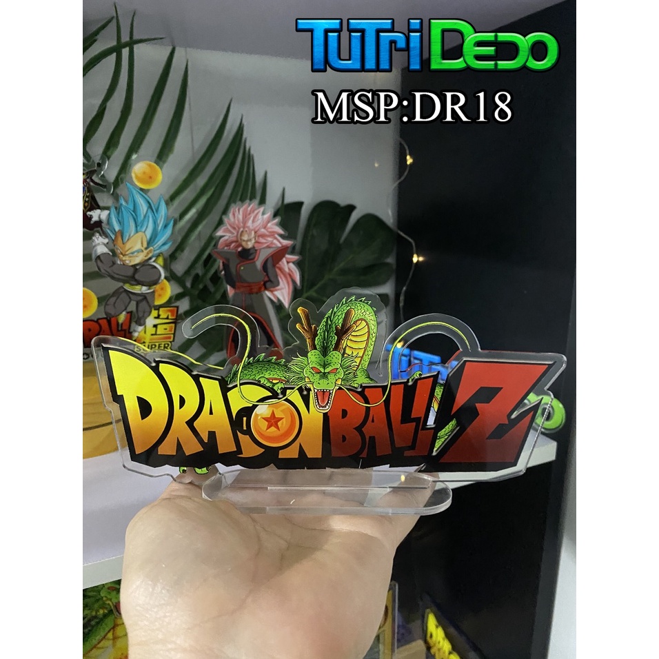 Logo Dragon Ball -One Piece.