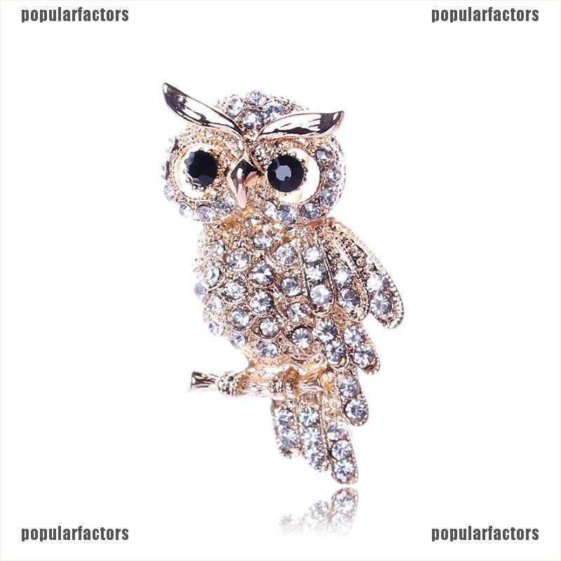 Ghim cài áo hình chim cú đính đá dễ thương