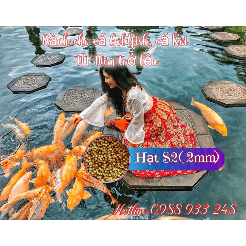 Cám Koi STELLA S2, S3 ||Túi 1Kg