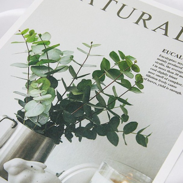 Ảnh bìa sách đẹp phụ kiện trang trí chụp ảnh sản phẩm xin xắn. postcard decor