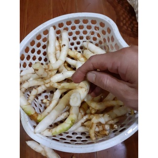 củ ngải trắng, 500gam