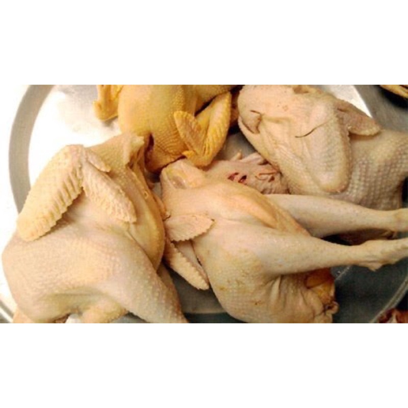THỊT GÀ , VỊT TƯƠI SỐNG NGUYÊN CON