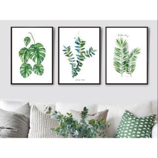 Tranh canvas lá nhiệt đới bộ 3 tranh 40x60 kèm khung