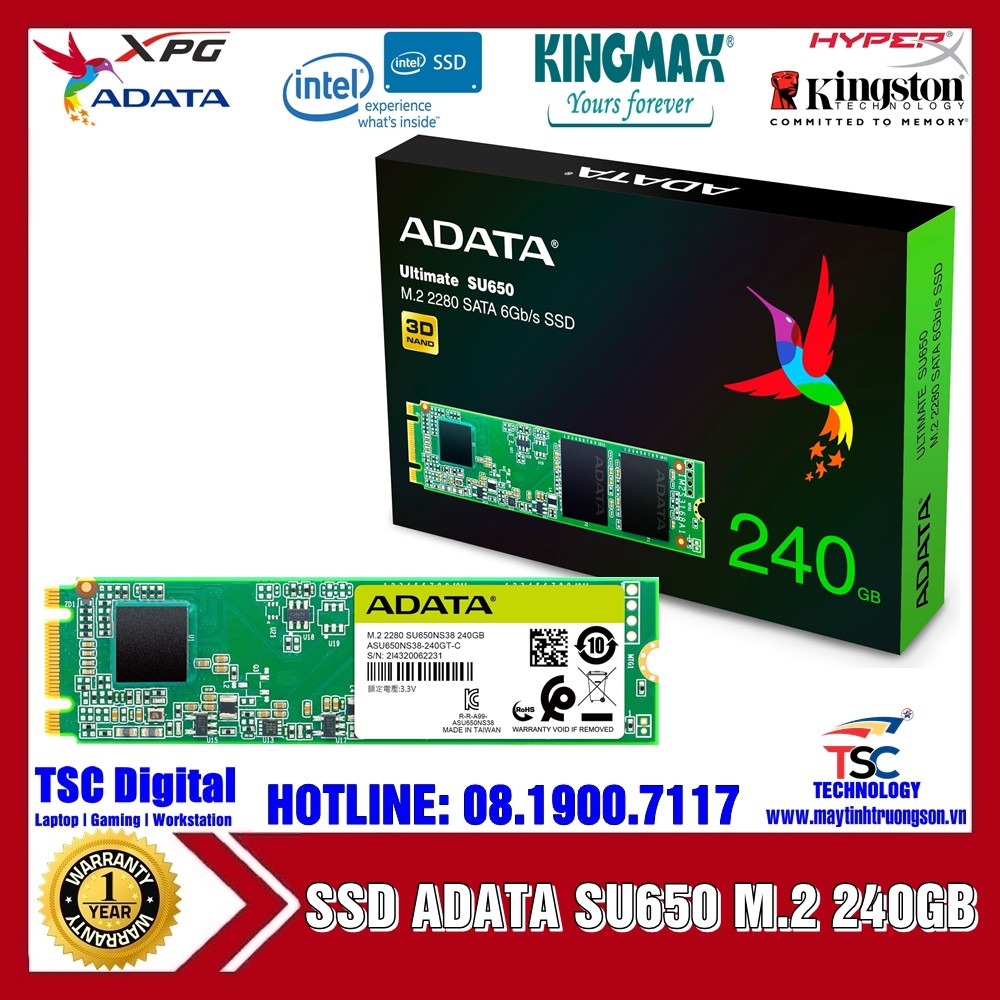 Ổ Cứng SSD ADATA Ultimate SU650 240GB M.2 2280 SATA 6Gb/s | NAND Flash 3D TLC