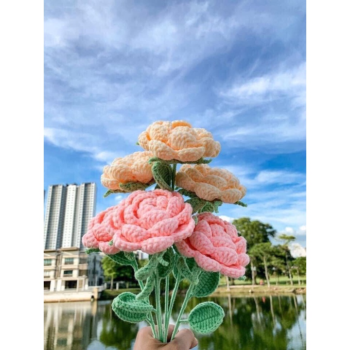 Hoa len sẵn