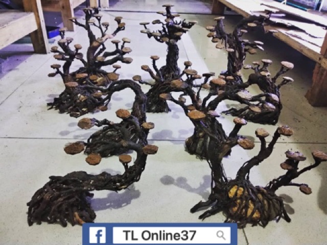Lát gỗ Lũa gắn rêu - Trang trí bể thuỷ sinh handmade - Xưởng Online37