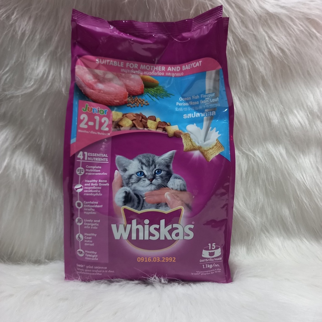 Thức ăn cho mèo bầu và mèo con Whiskas 1,1kg