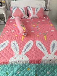 Sét chăn hè và ga chun poly có gối ôm