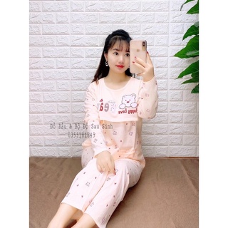 Sét bộ gấu cottong sau sinh