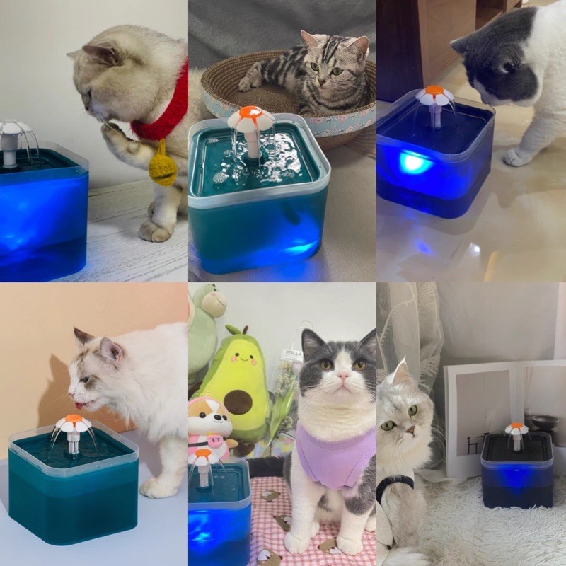 Máy uống nước tự động - lọc sạch bụi bẩn cho chó mèo