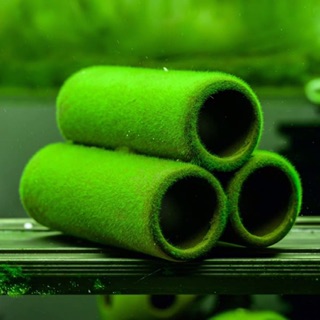 Đồ Chơi Hồ Tép - Đồ Trang Trí Hồ Cá Tép, Thuỷ Sinh | Tượng Gốm Trang Trí
