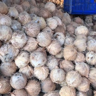 Combo 3 Trái Dừa Khô Đê Làm Bánh