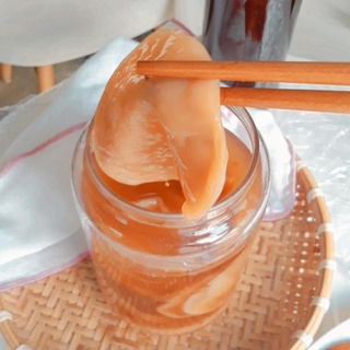 Con giống Scoby nuôi Kombucha