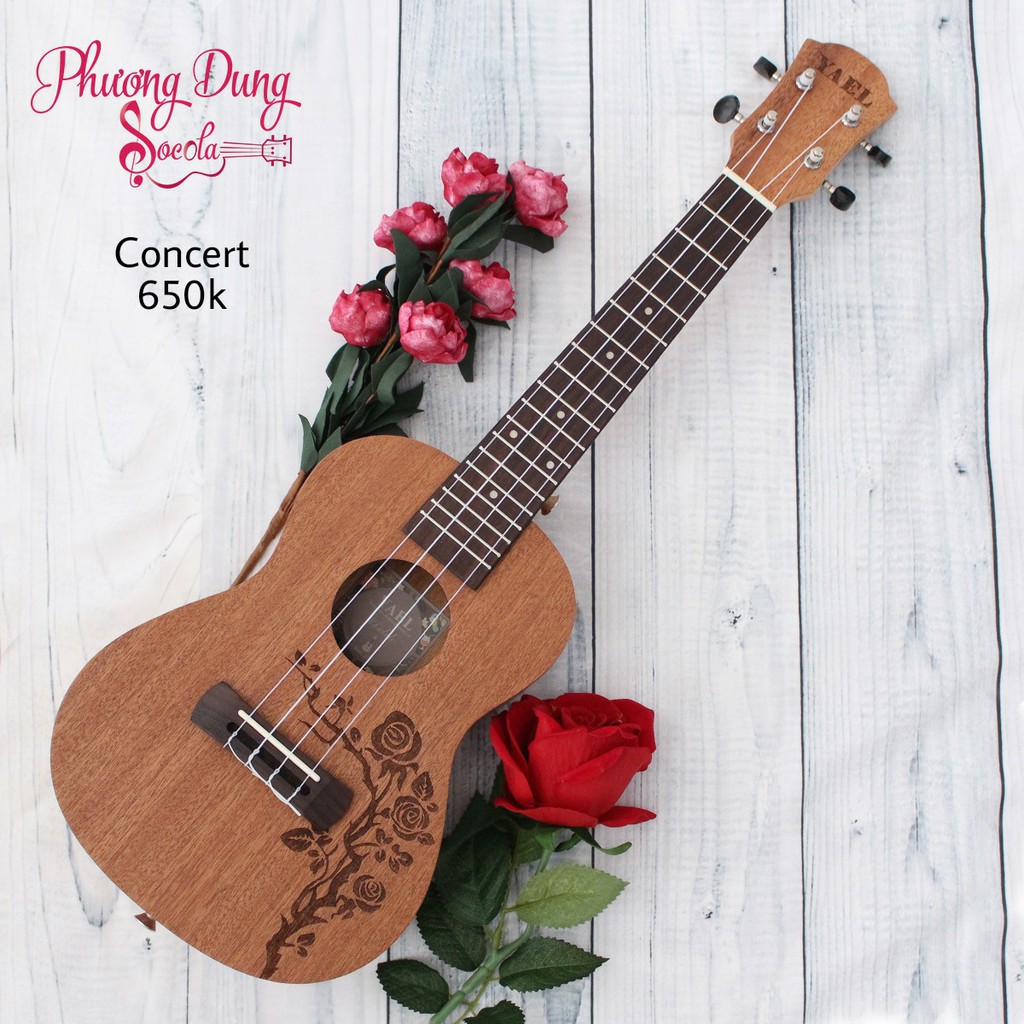 Đàn Ukulele Gỗ chính hãng Yael size Concert-HOA HỒNG