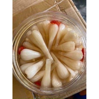 CỦ KIỆU HUẾ NGÂM ĐƯỜNG