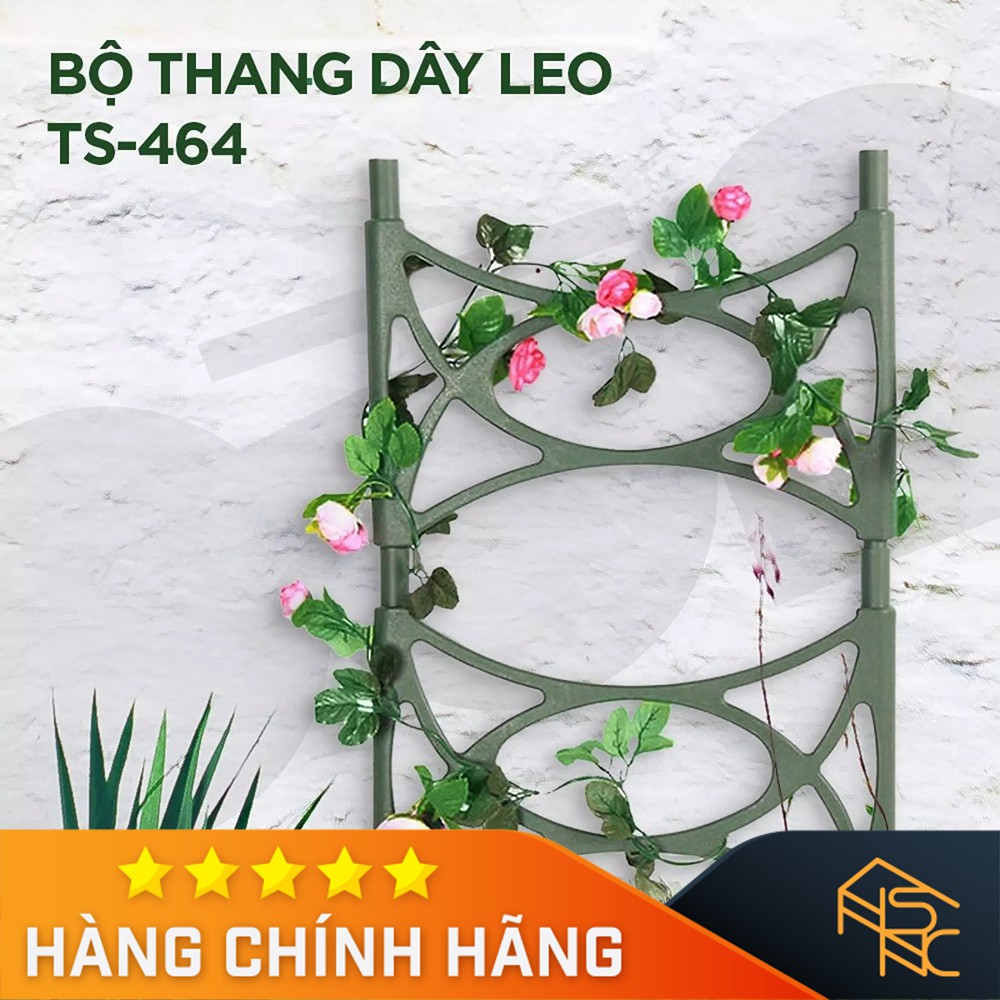 Bộ thang trồng cây dây leo - Đài Loan - TS464