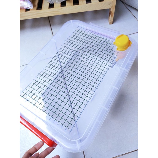 Thùng nhựa 10L-15L nuôi Hamster có vách ngăn đôi