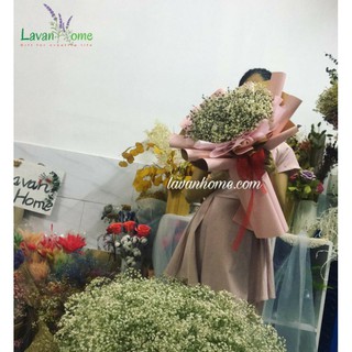 Bó hoa baby phối hoa khô Lavender Pháp - Quà tặng sinh nhật, tốt nghiệp, các dịp lễ