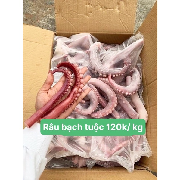 RÂU BẠCH TUỘC