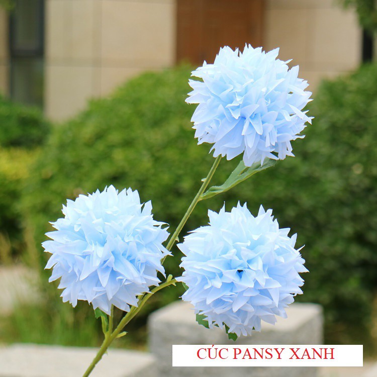 HOA CÚC PANSY giả loại 1 giống thật - 1 Cành 3 Bông Lớn dài 67cm