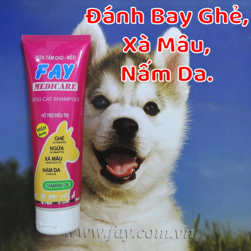 Sữa Tắm Các Binh Về Da Fay Medicare Tuýp 290Ml (Ghẻ, Xà Mâu, Rụng Lông, Nấm Da,...)