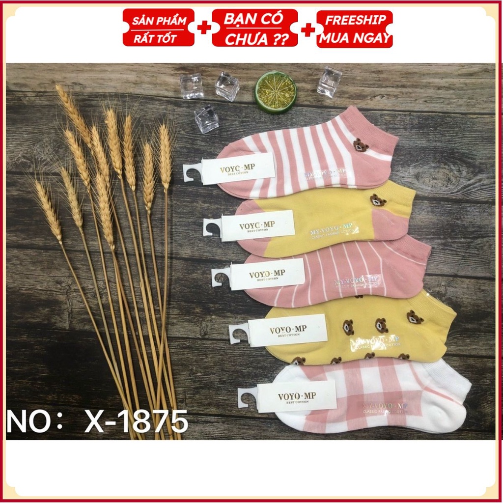 PVN36828 Set 10 Đôi Tất Nữ Cổ Ngắn Cotton Cute Hàn Quốc Vớ Nữ Cổ Ngắn Dễ Thương T2