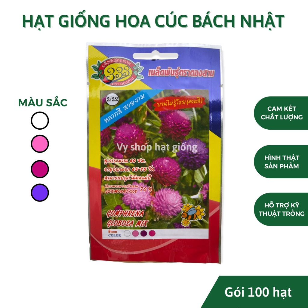 Hạt giống hoa cúc bách nhật nhiều màu Thái Lan