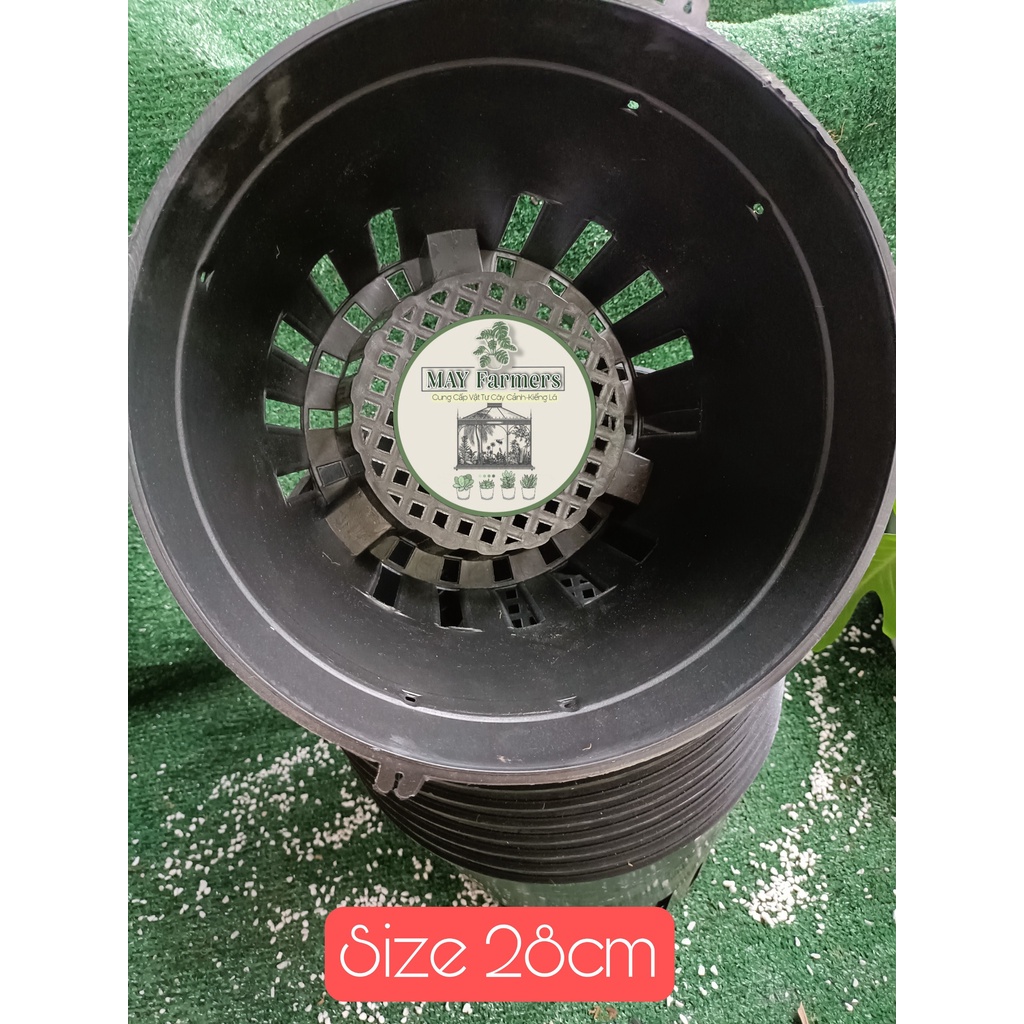 COMBO 5 Cái Chậu Nhựa Lan Đen F28_F35 Trồng Hoa Lan - Cây Cảnh