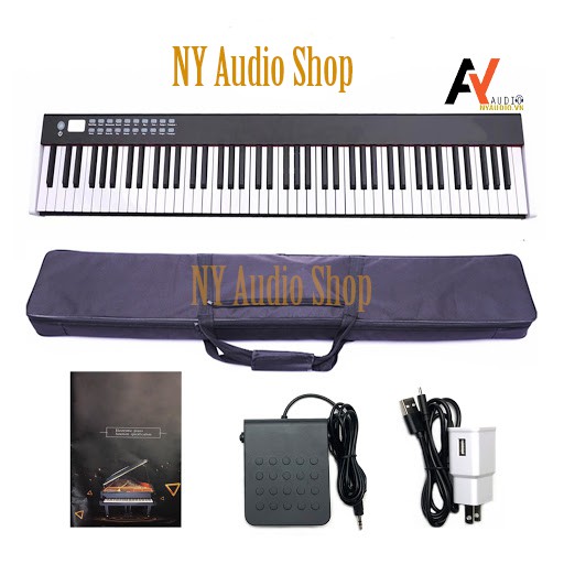 Đàn Piano BX 2 88 phím nặng chuẩn dành cho người chơi và học Piano