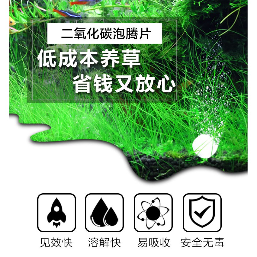 Viên Sủi CO2 - Sunsun CO2 SC-27
