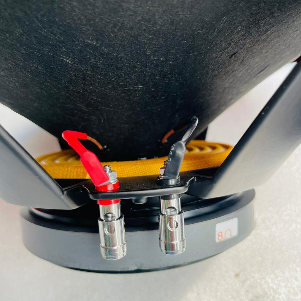 LOA BASS 40 COIL 65 TỪ 170 SƯỜN NHÔM MÀN BÓNG CAO CẤP - BASS 4 TẤC TỪ ĐEN HÀNG NHẬP CHINA