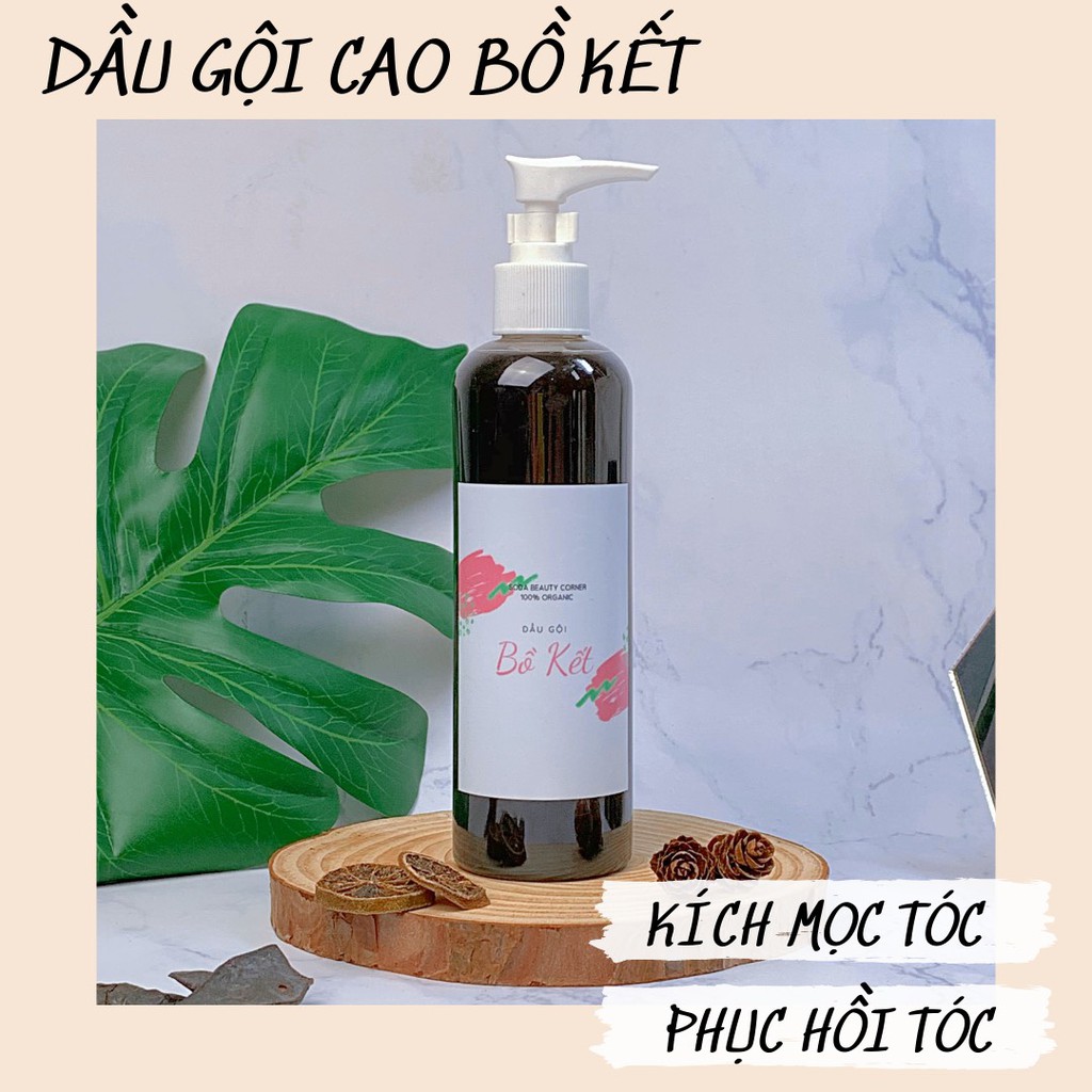 Dầu Gội Thuần Chay Bồ Kết Thuốc Bắc Giúp Kích Mọc Tóc Và Giảm Rụng Tóc - SODA Beauty Corner.