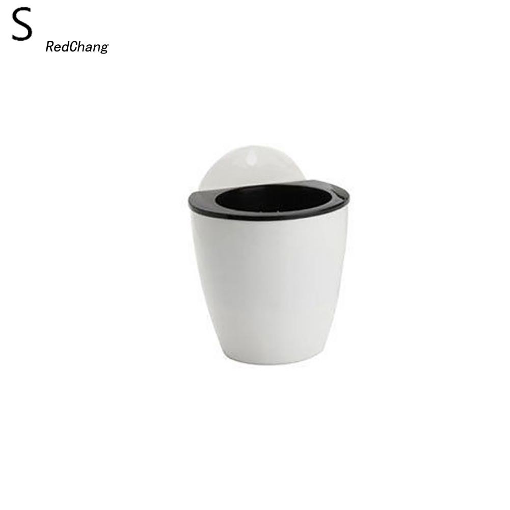 Chậu hoa hút nước treo tường sáng tạo