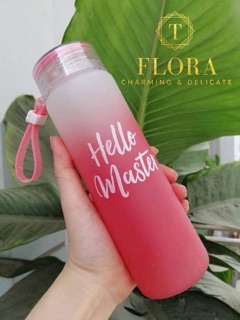Combo 04 bình thuỷ tinh Hello Master 450ml