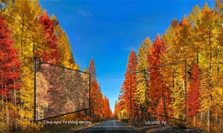SMART TIVI 4K LG 43UK6340PTF