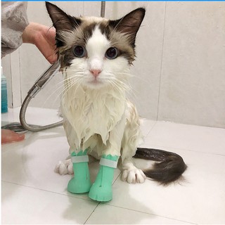 chụp chân tránh boss cào