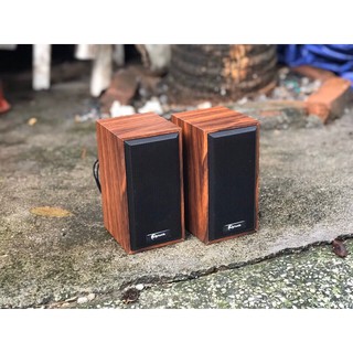 Loa Vi Tính 2.0 GoldTech M22