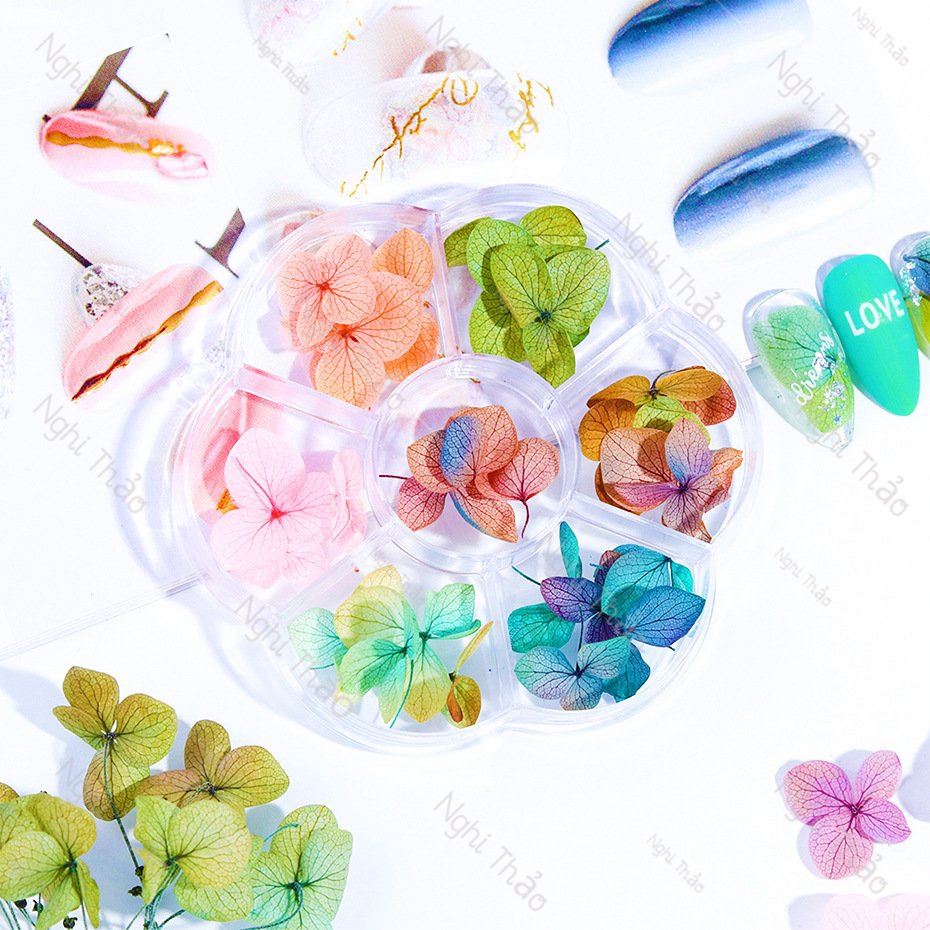 Hoa khô nail LADURA trang trí móng tay cánh to 7 màu