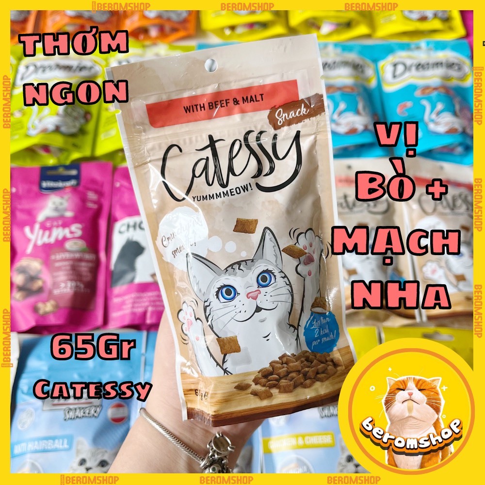 BÁNH THƯỞNG CHO MÈO CATESSY 65G 3 VỊ NHẬP ĐỨC GIÁ CỰC RẺ