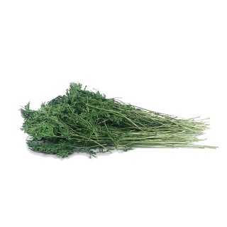 Lá cà rốt🥕