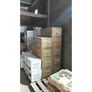 Thuốc tưới kích rễ Humat Cá