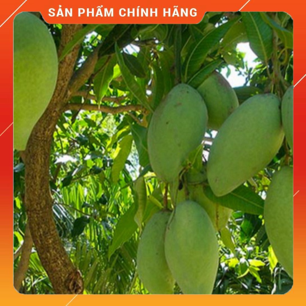 Phân bón lá HTC ĐẠI NGÀN - Ủ Trái chín 500ml . Nông Dược Xanh