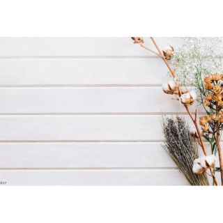 phông vynil phông nền background hoa bông